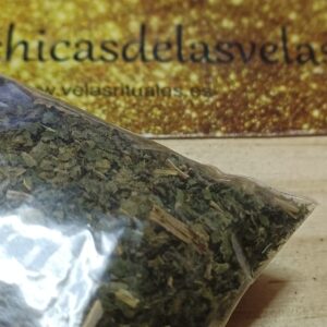 hierba esotérica  Ortiga Verde