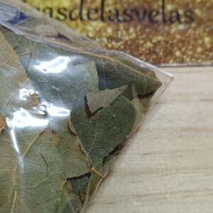 hierba esotérica Laurel