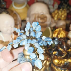 Árbol Sodalita