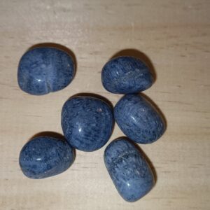 Coral Azul