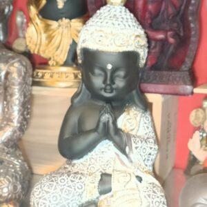 Figura budha joven meditando