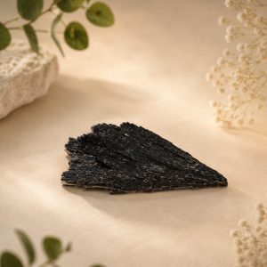Escoba de Bruja