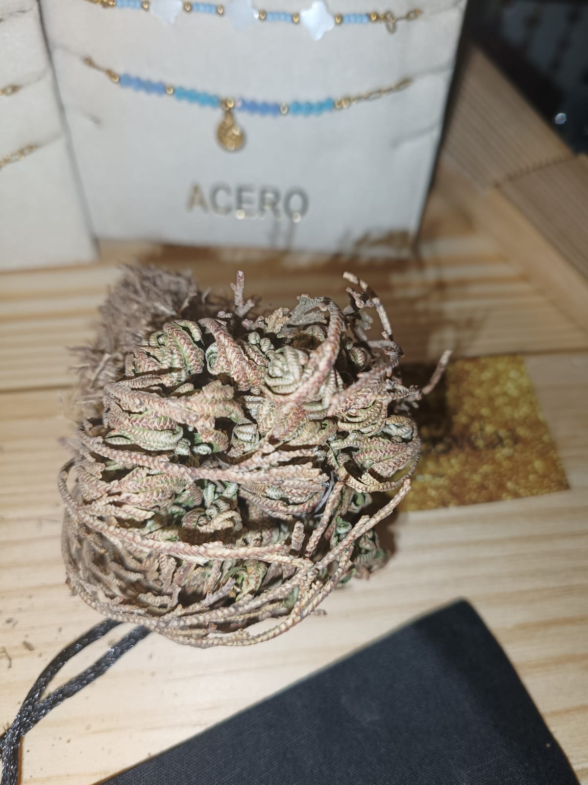 Flor de Jerico pequeña