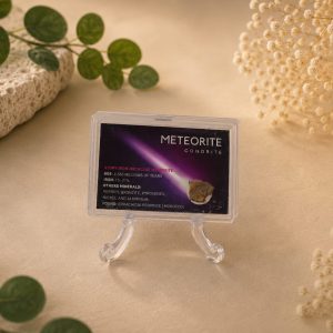 Meteorito Condrita