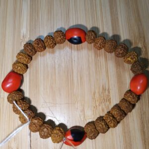 Pulsera semillas 4 Huayruro - Rudrakhsa