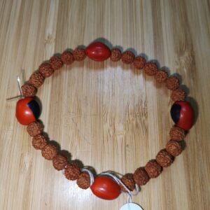 Pulsera semillas 4 Huayruro - Rudrakhsa teñida