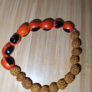 Pulsera semillas Huayruro - Rudrakhsa