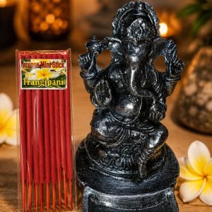 Porta incienso Ganesh Plateado