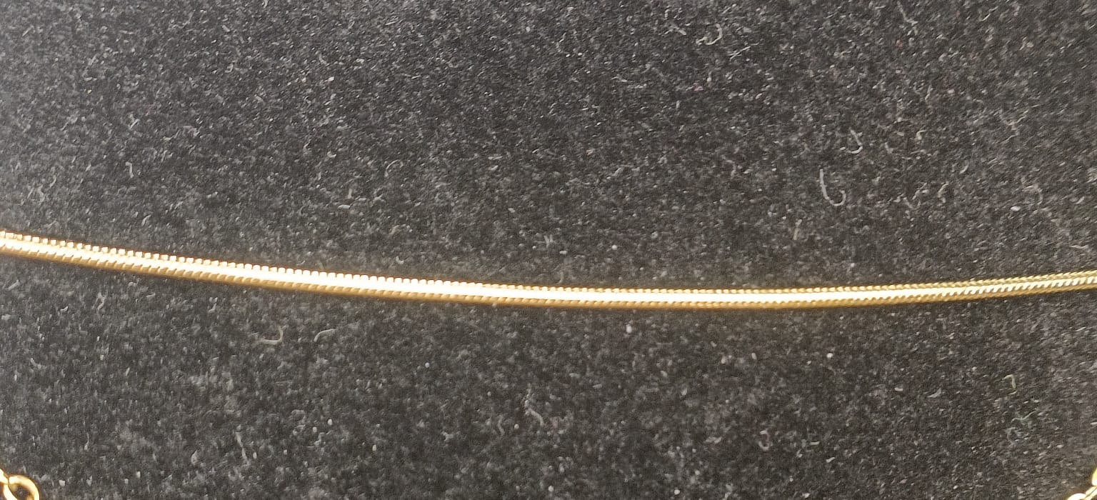Cadena de Acero dorada 50cm+5 cola de ratón