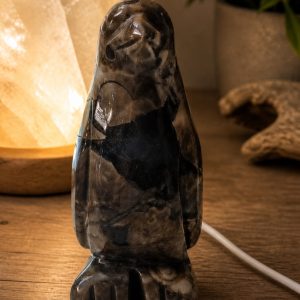 Pingüino ágata fluorescente (3)