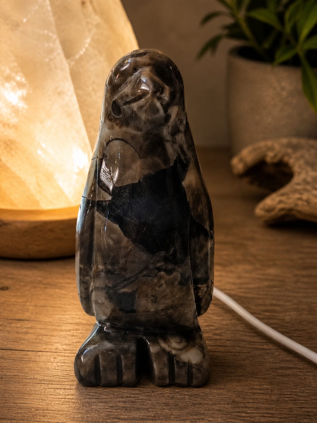 Pingüino ágata fluorescente (3)